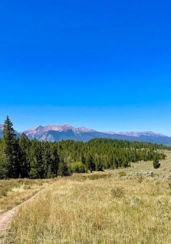 Dillon Nature Preserve Trailhead