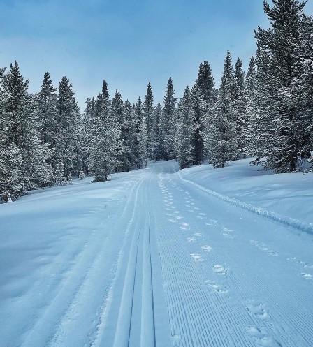 Tennessee Pass Nordic Center