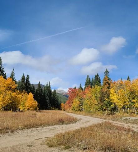 Michigan Creek Campground