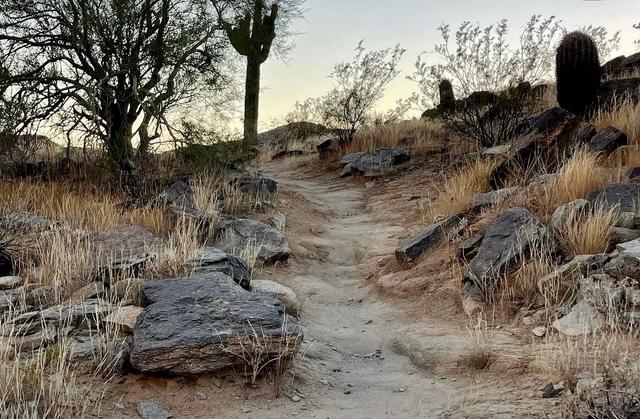 Pima Canyon Trailhead