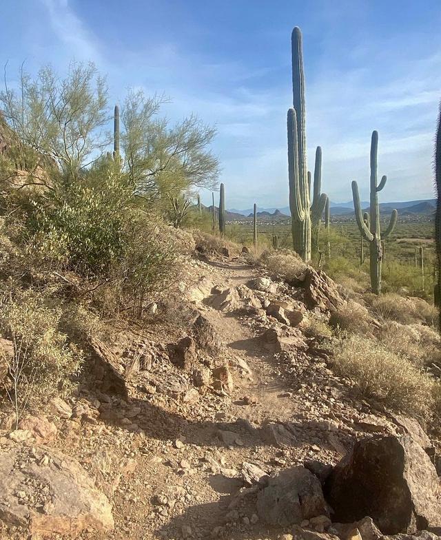 Sarasota Trailhead