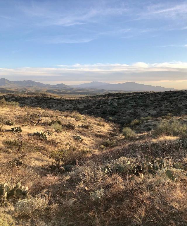 McKenzie Ranch Trailhead