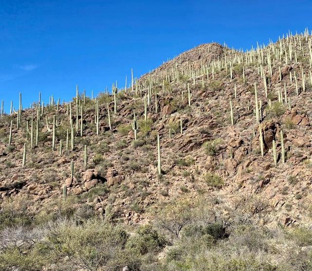 David Yetman West Trailhead