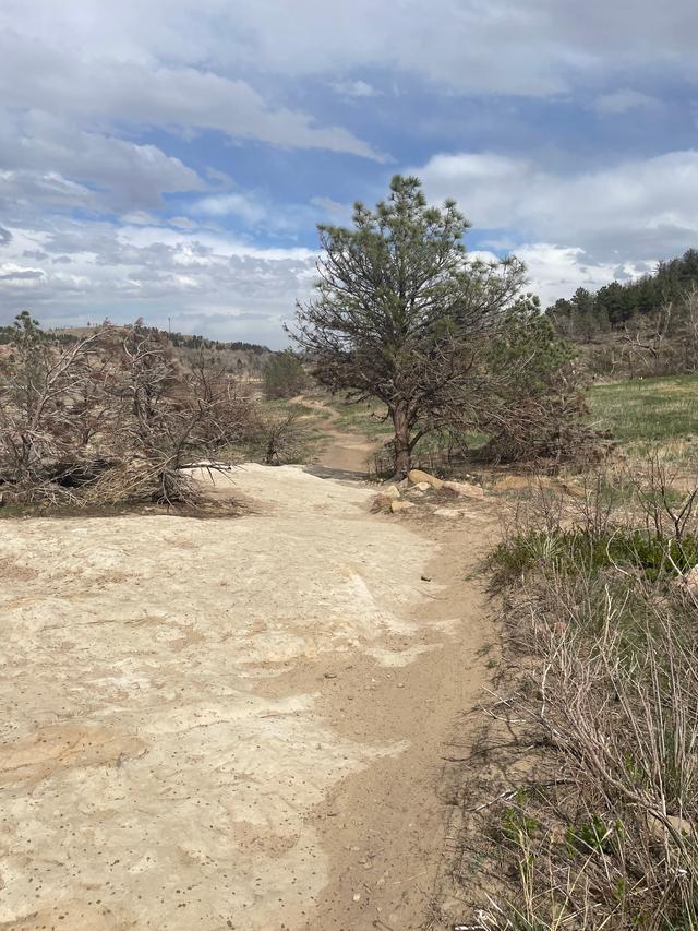 Marshall Mesa Trailhead