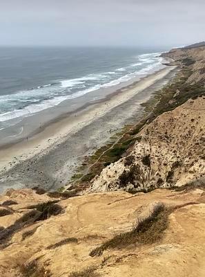 Blacks Beach