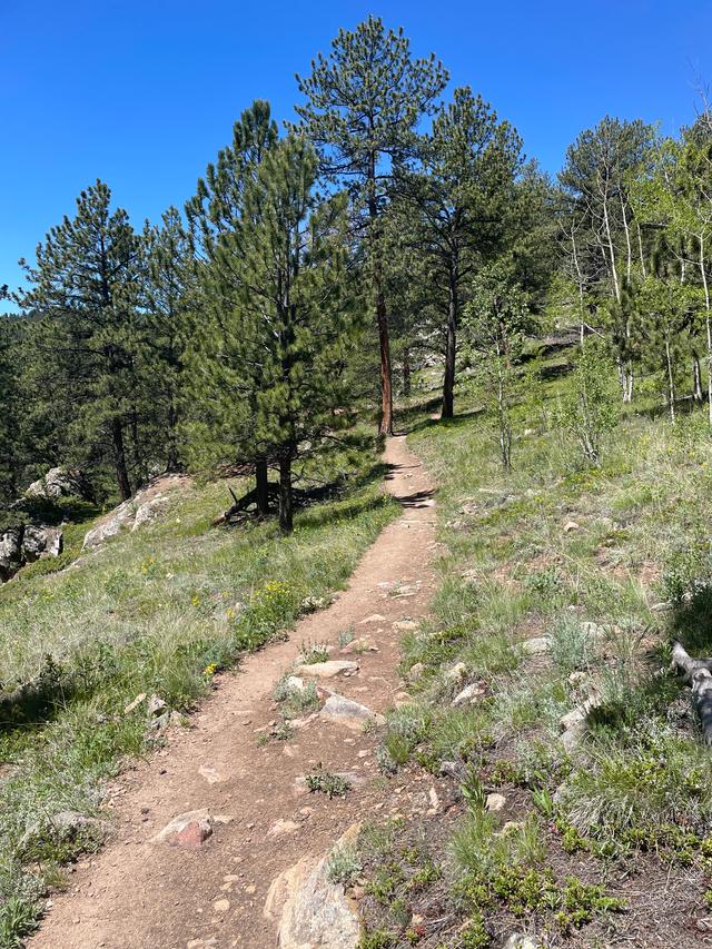 Horseshoe trailhead 