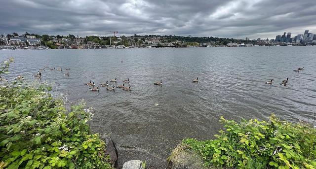 Lake Union