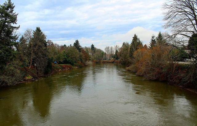 Duwamish River