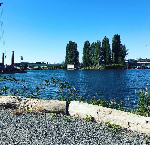 Duwamish River