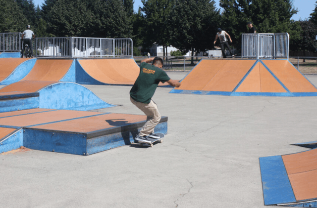 Rainer Vista Skatepark