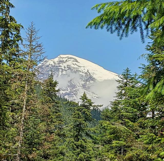 Cougar Rock Campground