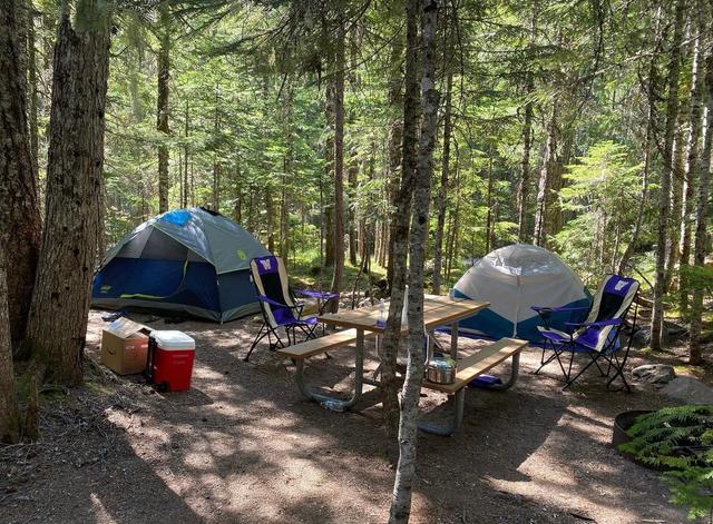 Cougar Rock Campground