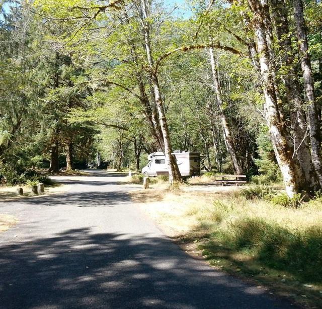 Hoh Rain Forest Campground