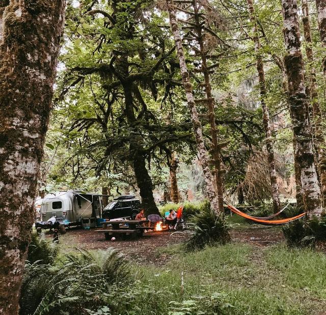 Hoh Rain Forest Campground