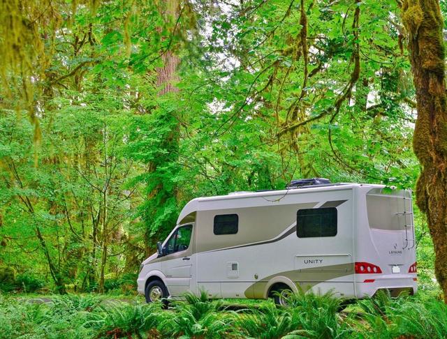 Hoh Rain Forest Campground