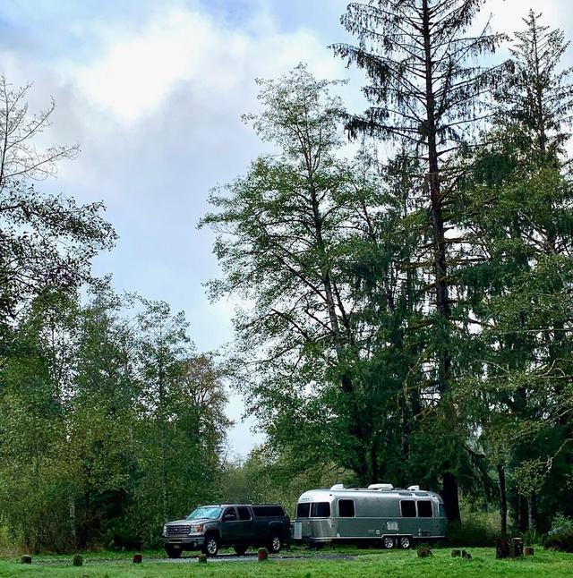 Hoh Rain Forest Campground