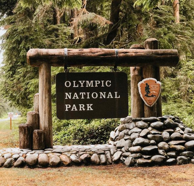 Hoh Rain Forest Campground