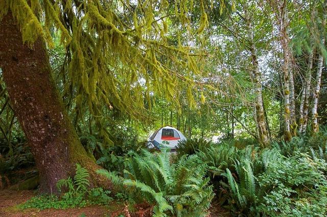 Hoh Rain Forest Campground