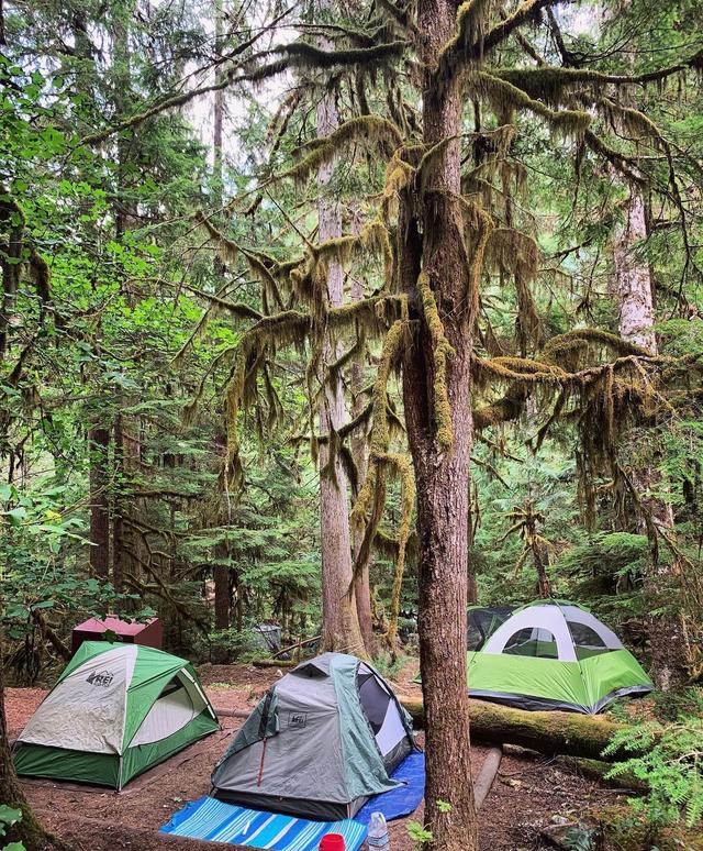 Colonial Creek South Campground