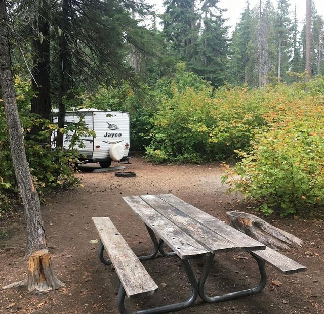 Lake Wenatchee South Campground