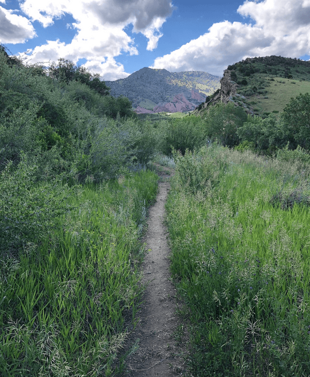 Mount Glennon bouldering area