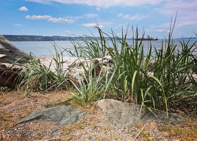 Mukilteo Lighthouse Park