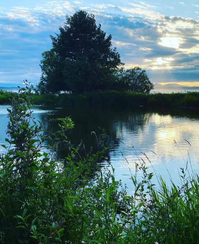 Golden Gardens Park