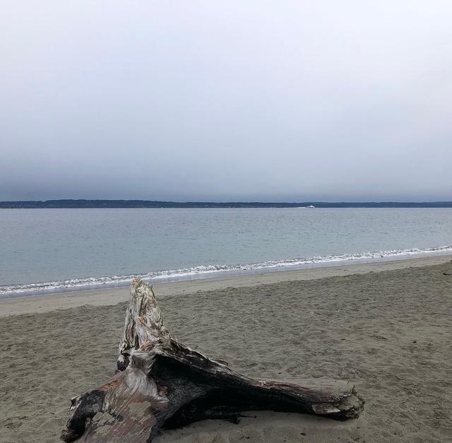 Golden Gardens Park