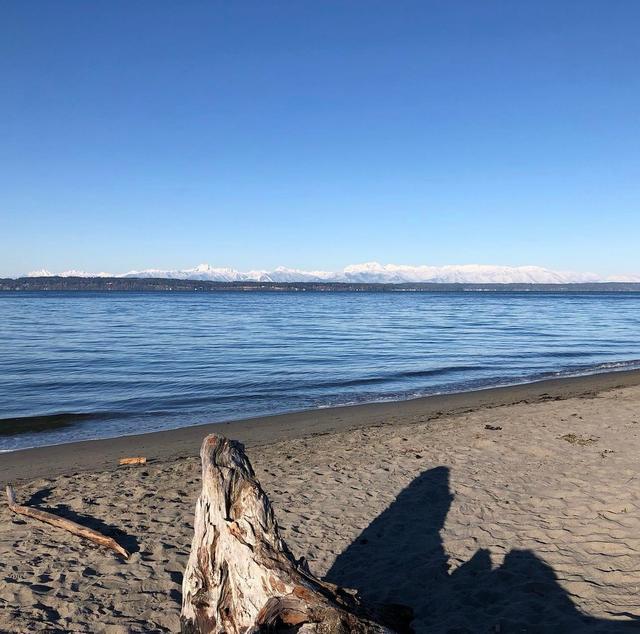 Golden Gardens Park