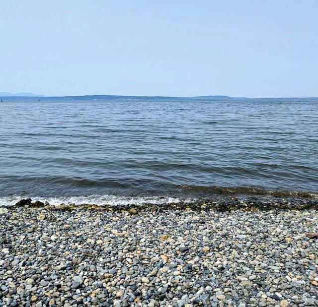 Golden Gardens Park