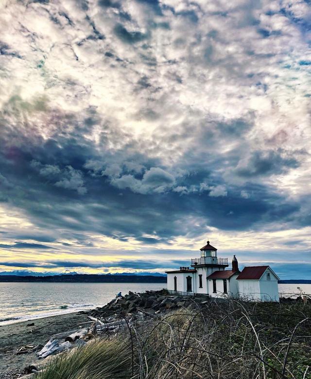 Discovery Park Beach