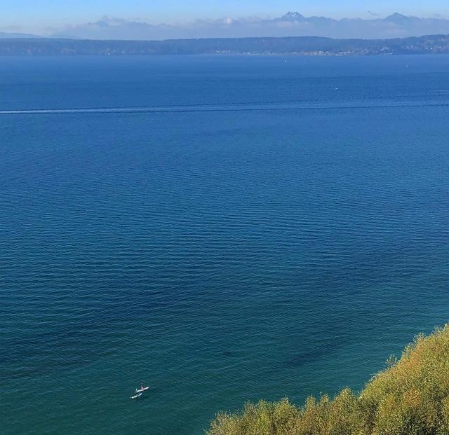 Discovery Park Beach