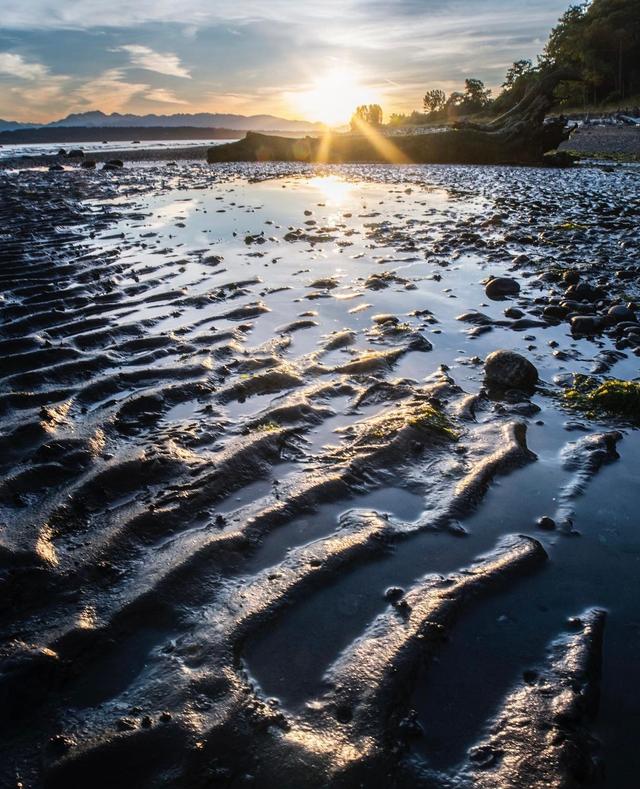 Discovery Park Beach