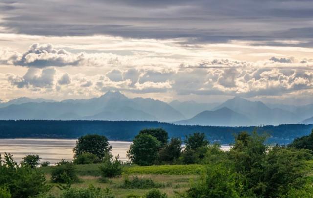 Discovery Park Beach