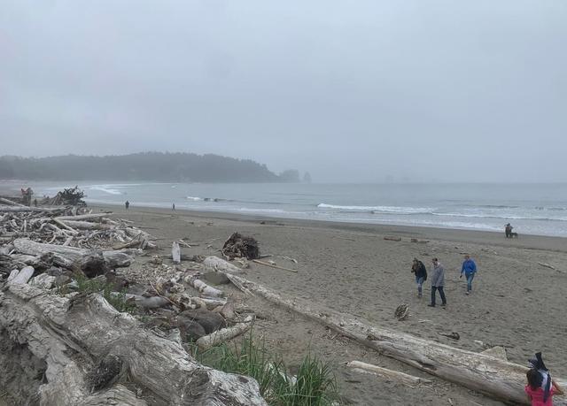 La Push First Beach