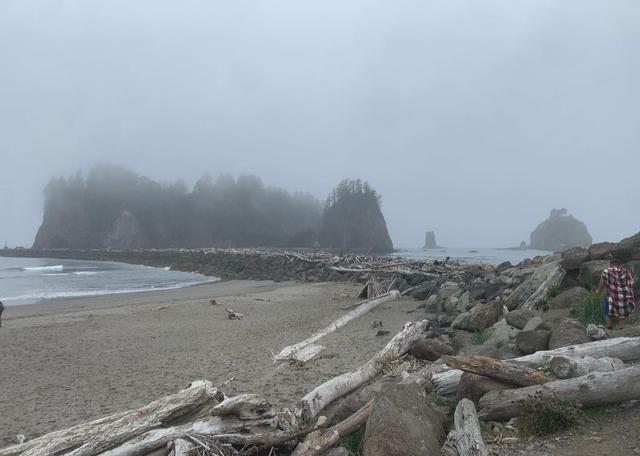 La Push First Beach