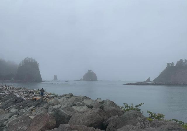 La Push First Beach