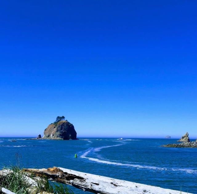 La Push First Beach