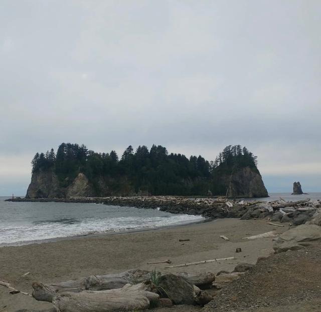 La Push First Beach