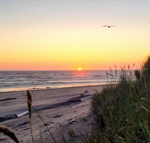 Ocean Shores