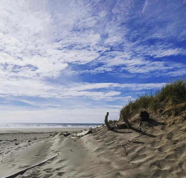 Ocean Shores