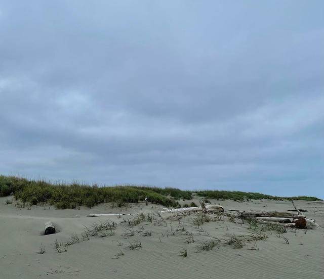 Ocean Shores