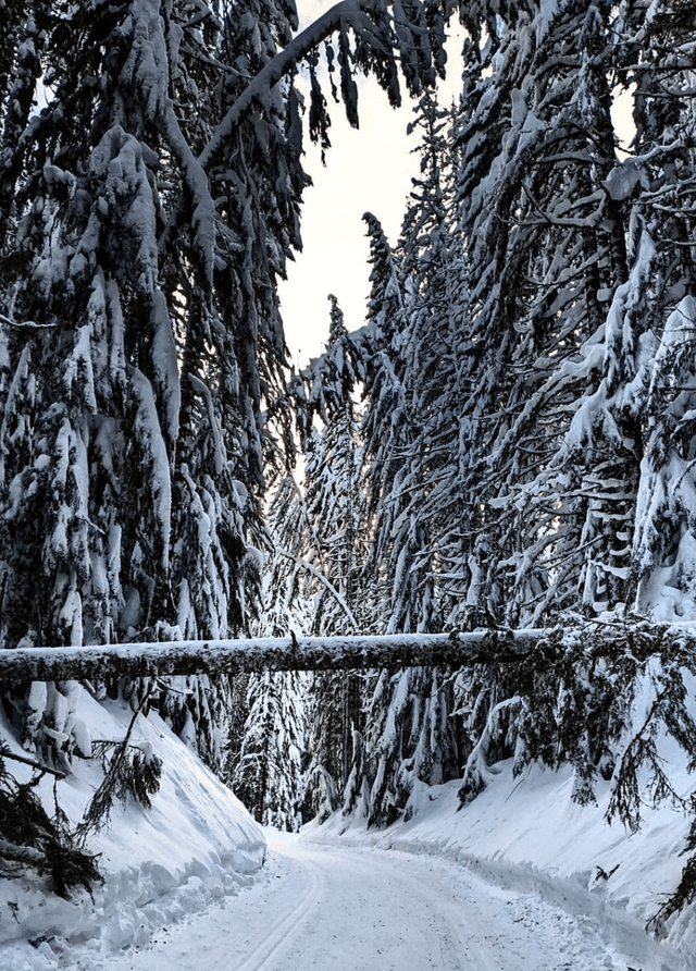 The Summit at Snoqualmie Nordic Center