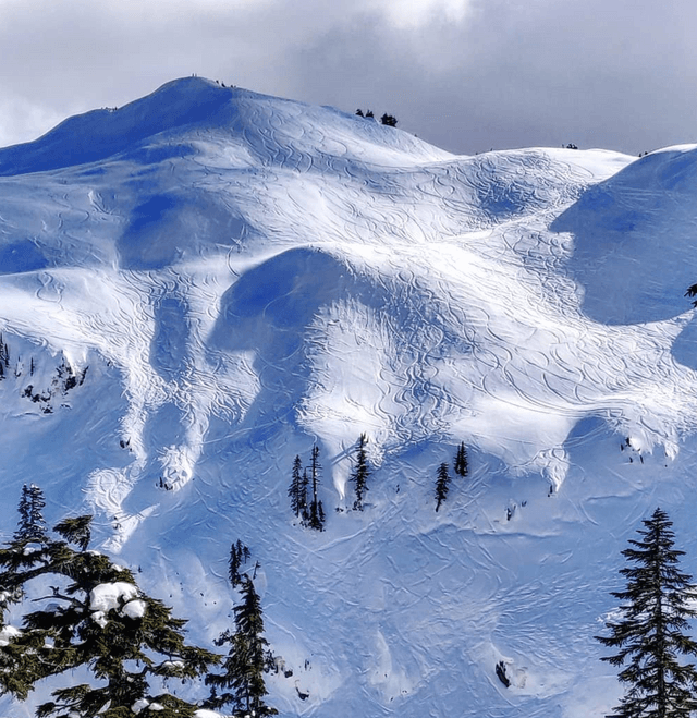 Mount Baker Ski Area