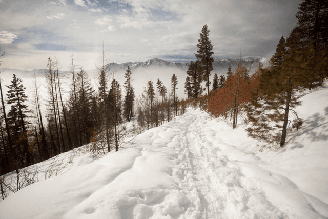 Hex Mountain Trailhead