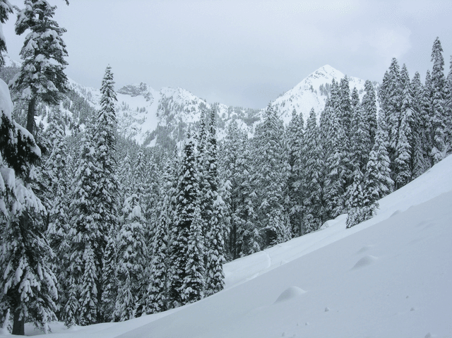 Commonwealth Basin Trailhead