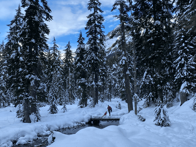 Commonwealth Basin Trailhead