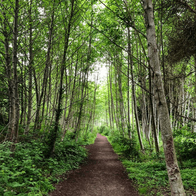 Discovery Park