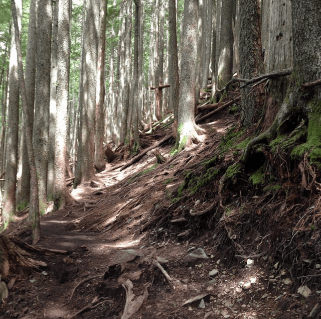 Mailbox Peak Trailhead