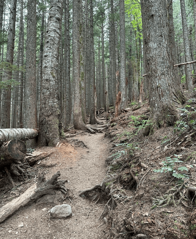 Mailbox Peak Trailhead